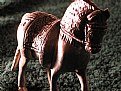 Picture Title - Horsey