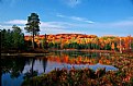 Picture Title - Ontario Autumn