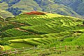 Picture Title - Sapa