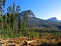 Picture Title - Forestry On Hills