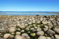 Picture Title - Tidal Pool