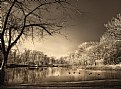 Picture Title - The Lake