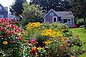 Picture Title - Monhegan Island