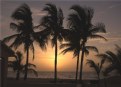 Picture Title - Palm Beach Sunrise