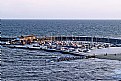 Picture Title - Lyme Regis Harbour