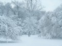 Picture Title - Winter Wonderland