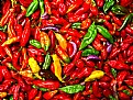 Picture Title - Hot Aji's