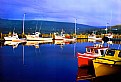 Picture Title - Dingwall Harbour