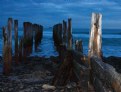 Picture Title - Groynes- weathering the storm #2