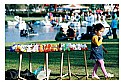 Picture Title - Sunday in the park