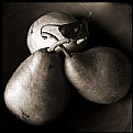 Picture Title - Pears