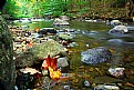 Picture Title - Autumn on the Rocks