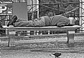 Picture Title - Homeless #7