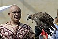 Picture Title - Hunting with a falcon