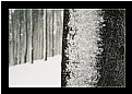 Picture Title - Snow
