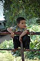 Picture Title - Boy hanging around