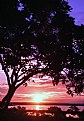 Picture Title - Amazon Sunrise