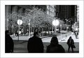 Picture Title - Two Bright Lights - nyc - plate 1