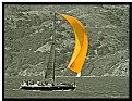 Picture Title - Yellow Sail