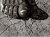 dolls foot