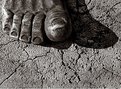 Picture Title - dolls foot