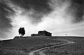 Picture Title - Val d'Orcia