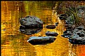Picture Title - Golden Pond