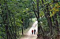 Picture Title - On the way to Munbae village