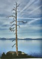 Picture Title - Last worier of Lake Tahoe