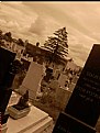 Picture Title - cemetery