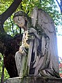 Picture Title - Angel