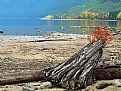 Picture Title - Autumn on Lk Chilliwack