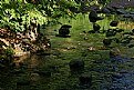 Picture Title - Autumn in the park