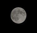 Picture Title - Plain and simply....the Moon