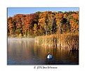 Picture Title - Autumn Mist