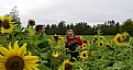 Picture Title - Sunflowers and girls