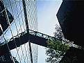 Picture Title - Tokyo International Forum Building Exterior