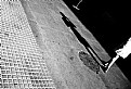 Picture Title - shadow