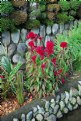 Picture Title - Red Roadside Flower