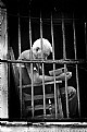 Picture Title - the bars