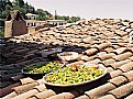 Picture Title - Hot Peppers On The Hot Roof