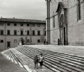 Picture Title - Duomo / Arezzo