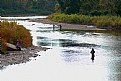 Picture Title - Steelhead Alley