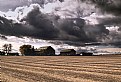 Picture Title - farmlands.1