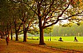 Picture Title - Afternoon in the park...