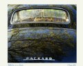 Picture Title - Reflection on a classic, Packard