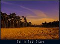 Picture Title - Out In The Fields