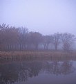 Picture Title - Autumn Morning Fog #2