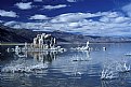 Picture Title - Mono Lake