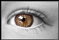 Picture Title - Eye
